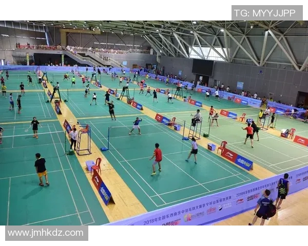 南京羽毛球队在杯赛中的实力展现与未来发展潜力分析